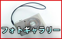 フォトギャラリー